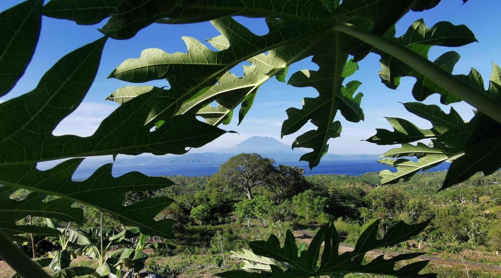 Eden Eco-Villas With Private Pool & Sea View - Adult Only Batumadeg 외부 사진